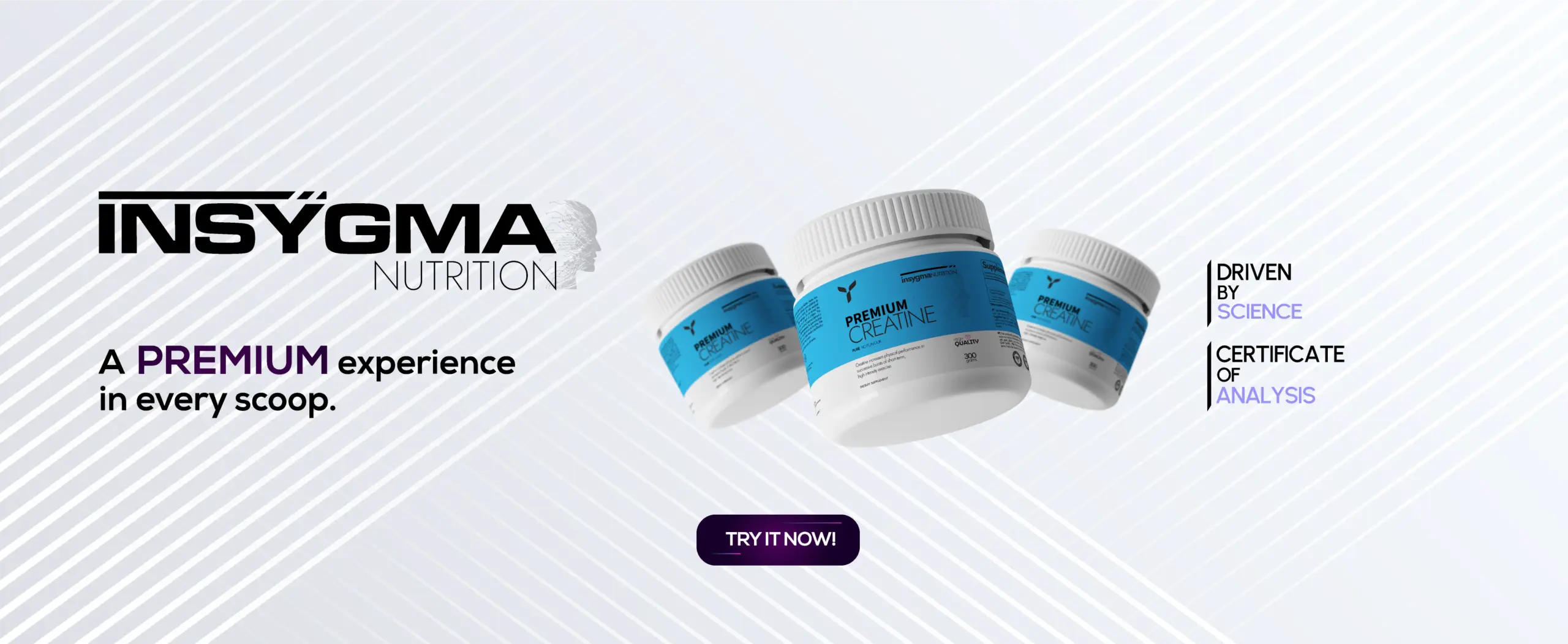 insygma-background