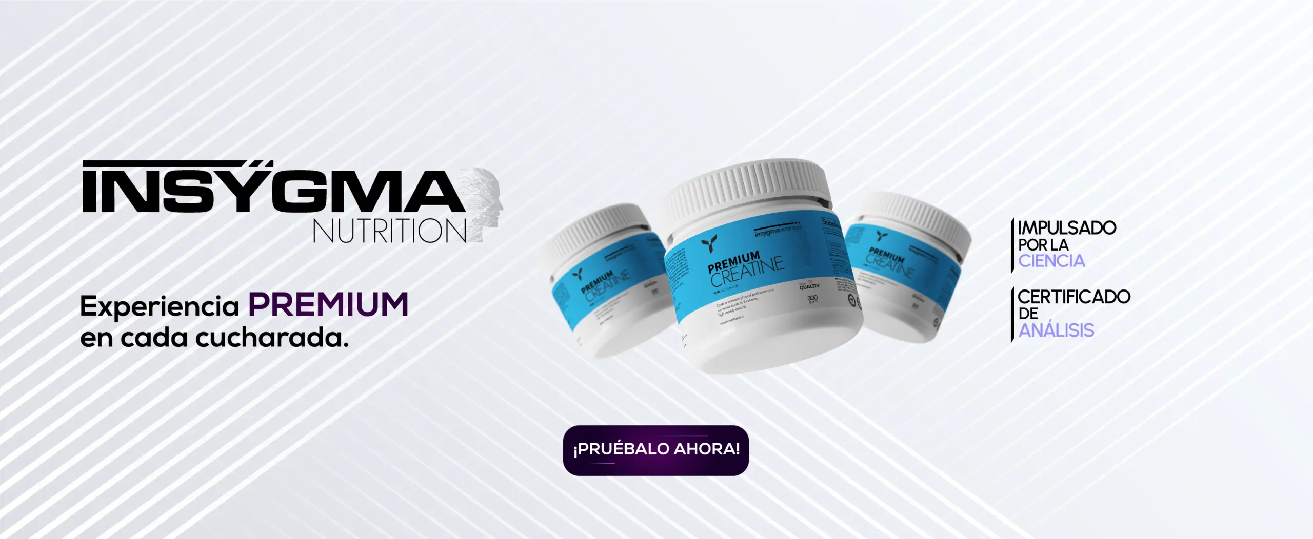 insygma-background