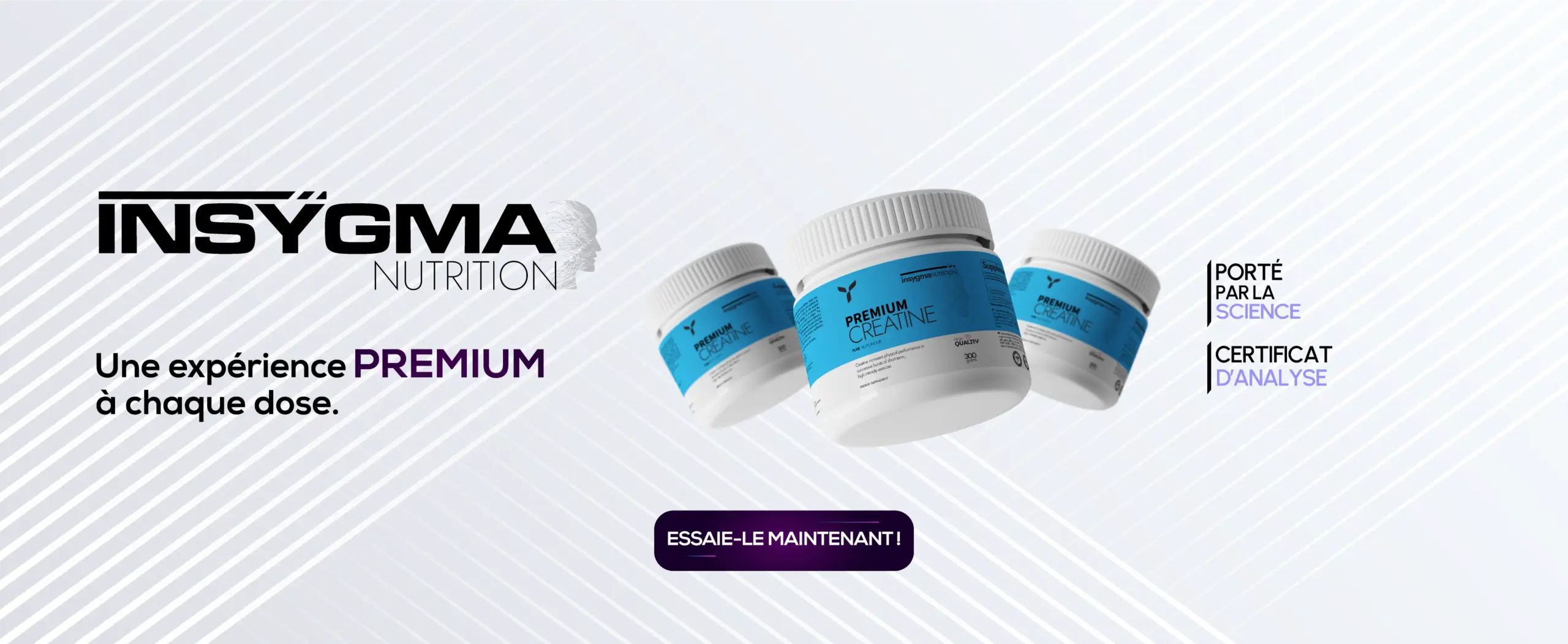 insygma-background