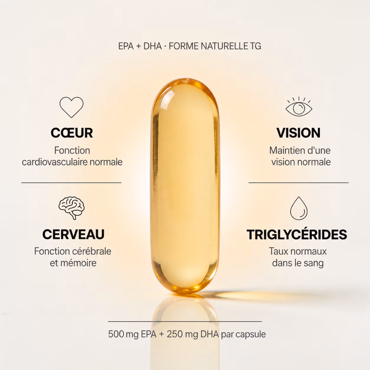 Omega 3 - 500 EPA + 250 DHA (Forma TG) – Image 2