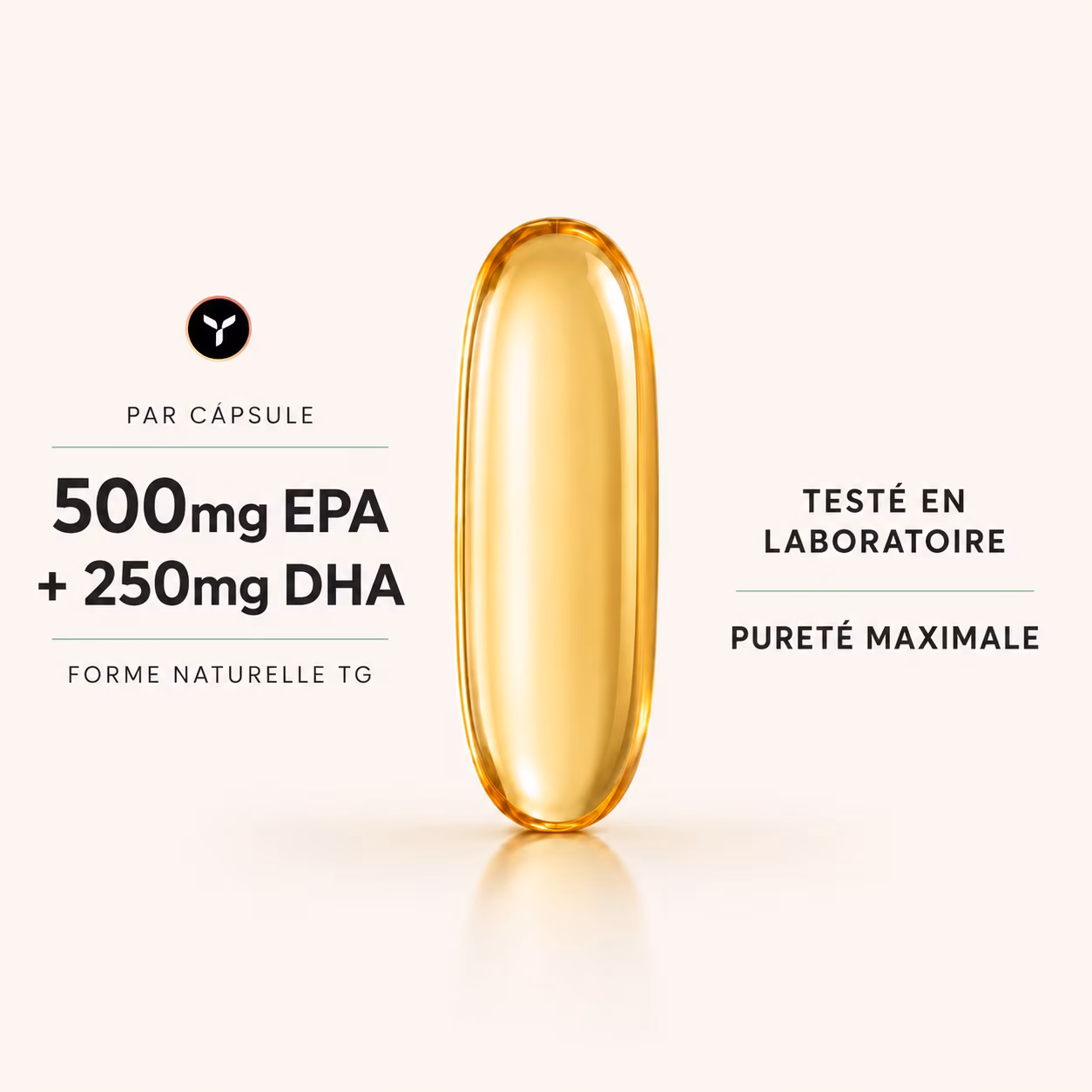 Omega 3 - 500 EPA + 250 DHA (Forma TG) – Image 3